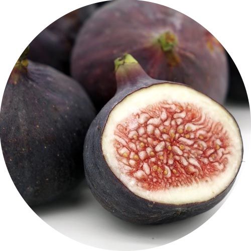 Tuscan Fig allergénmentes illatolaj 100 ml